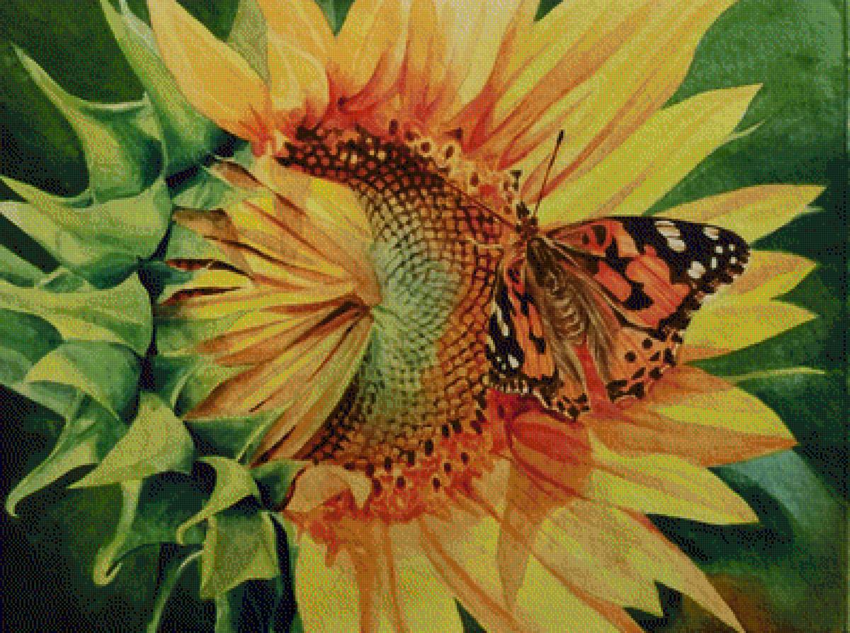 бабочка - предпросмотр