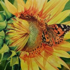 Схема вышивки «бабочка»