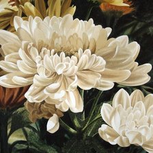 Схема вышивки «хризантемы»