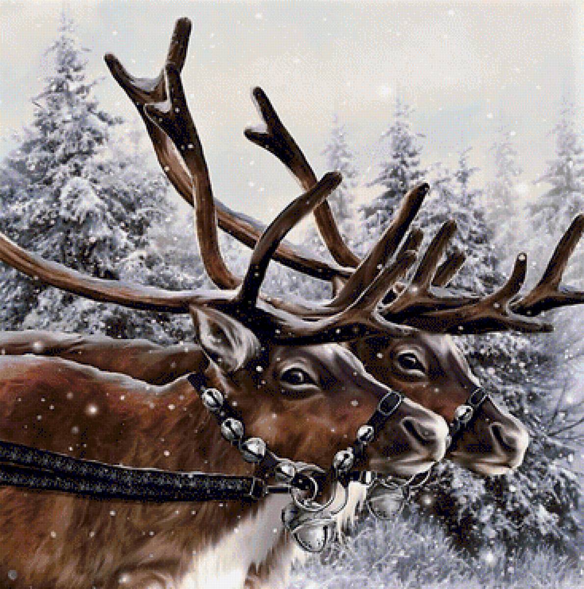 The Christmas Ride - предпросмотр