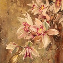 Схема вышивки «Rychkov orchids 3»