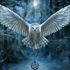 Схема вышивки «сова полярная»