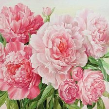 Схема вышивки «розовые пионы»