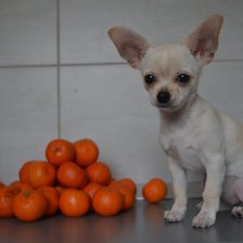 Схема вышивки «Кими»