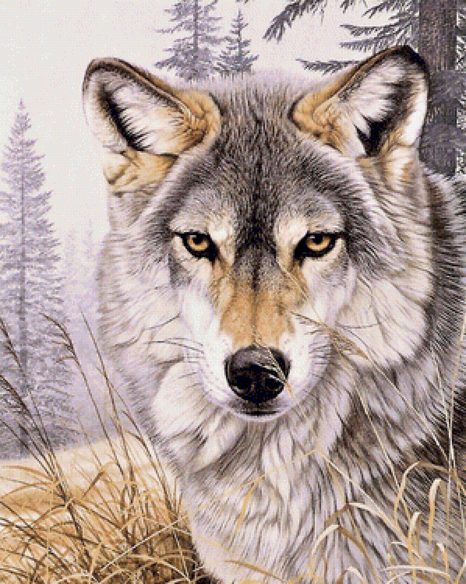 Wolf - предпросмотр