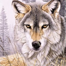 Схема вышивки «Wolf»