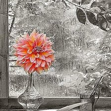 Схема вышивки «Натюрморт.»