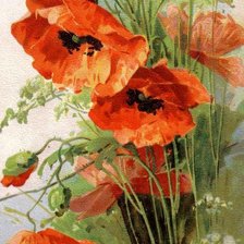 Схема вышивки «маки»