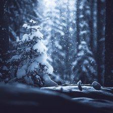 Схема вышивки «102о8»