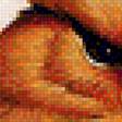 Предпросмотр схемы вышивки «Rowan» (№1750123)