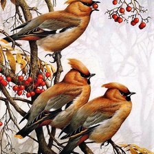 Схема вышивки «Rowan»