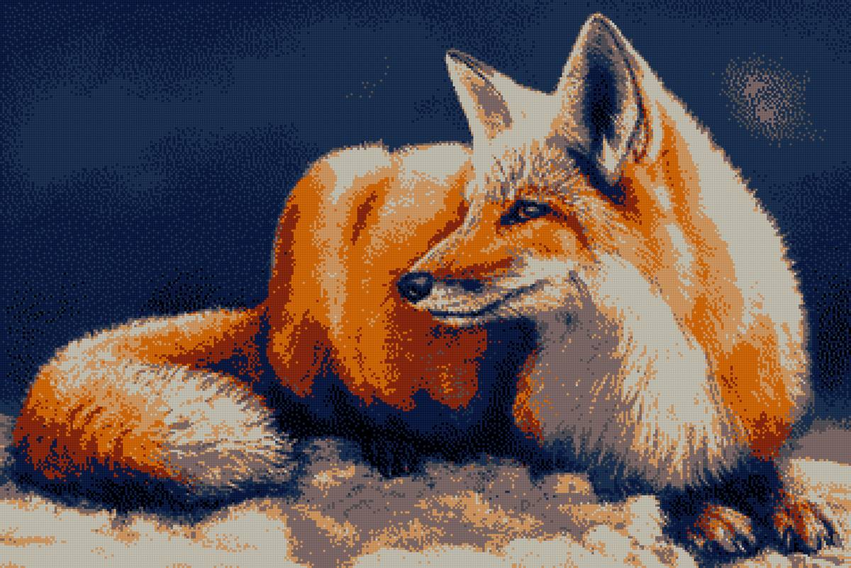 Лисичка - предпросмотр