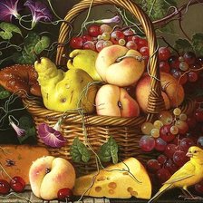 фрукты в корзине