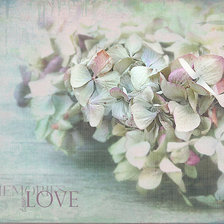 Схема вышивки «букет»