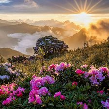 Схема вышивки «№1750848»