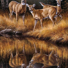 Схема вышивки «Олени»