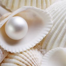 Схема вышивки «Жемчужина»