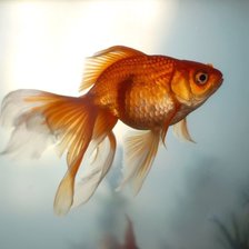 Схема вышивки «Золотая рыбка»