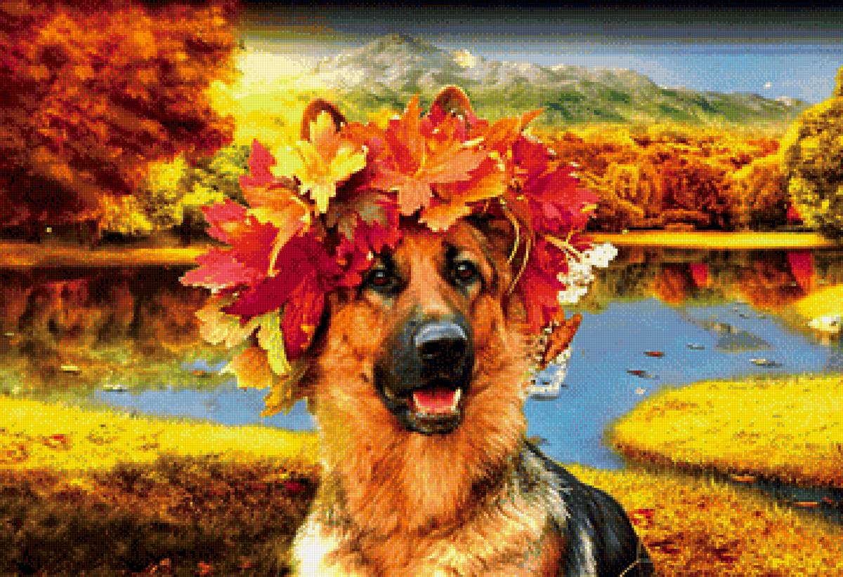 Овчарка - предпросмотр