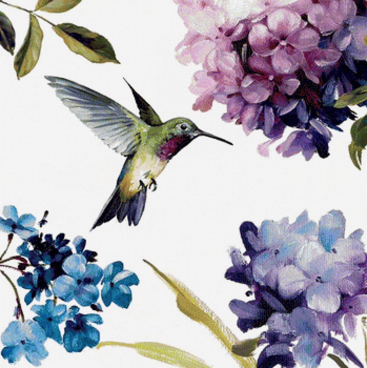 Hummingbird 1 - предпросмотр