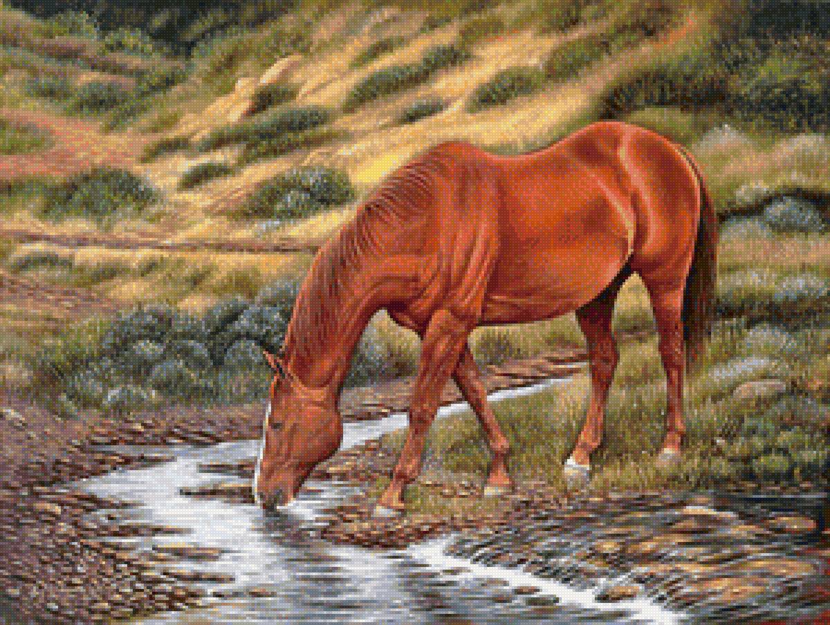 Лошадь в овраге - конь, лошади, животные - предпросмотр