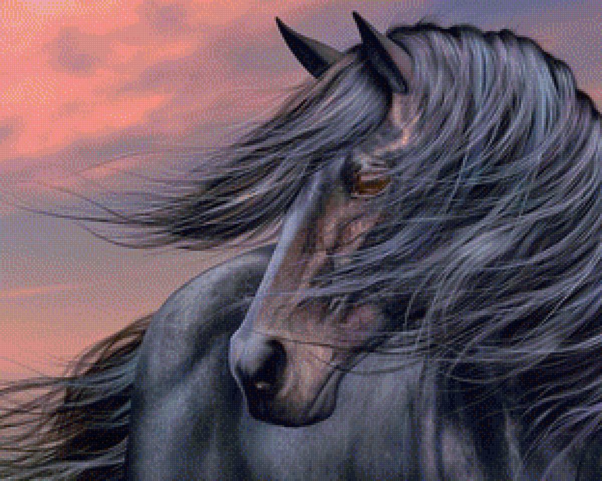 Вороной - лошади, животные, конь - предпросмотр
