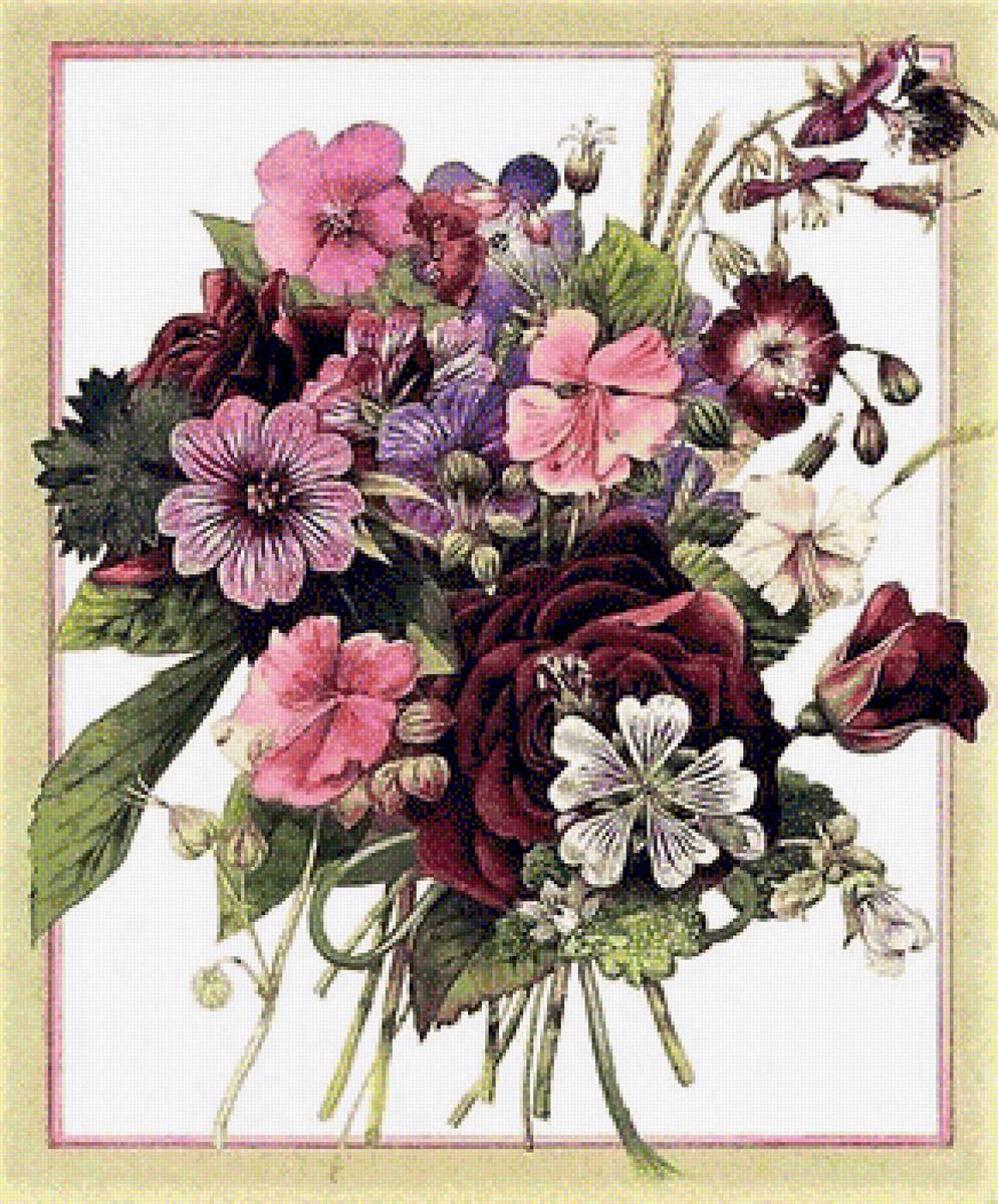 Posy - предпросмотр