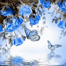 Схема вышивки «Бабочки»