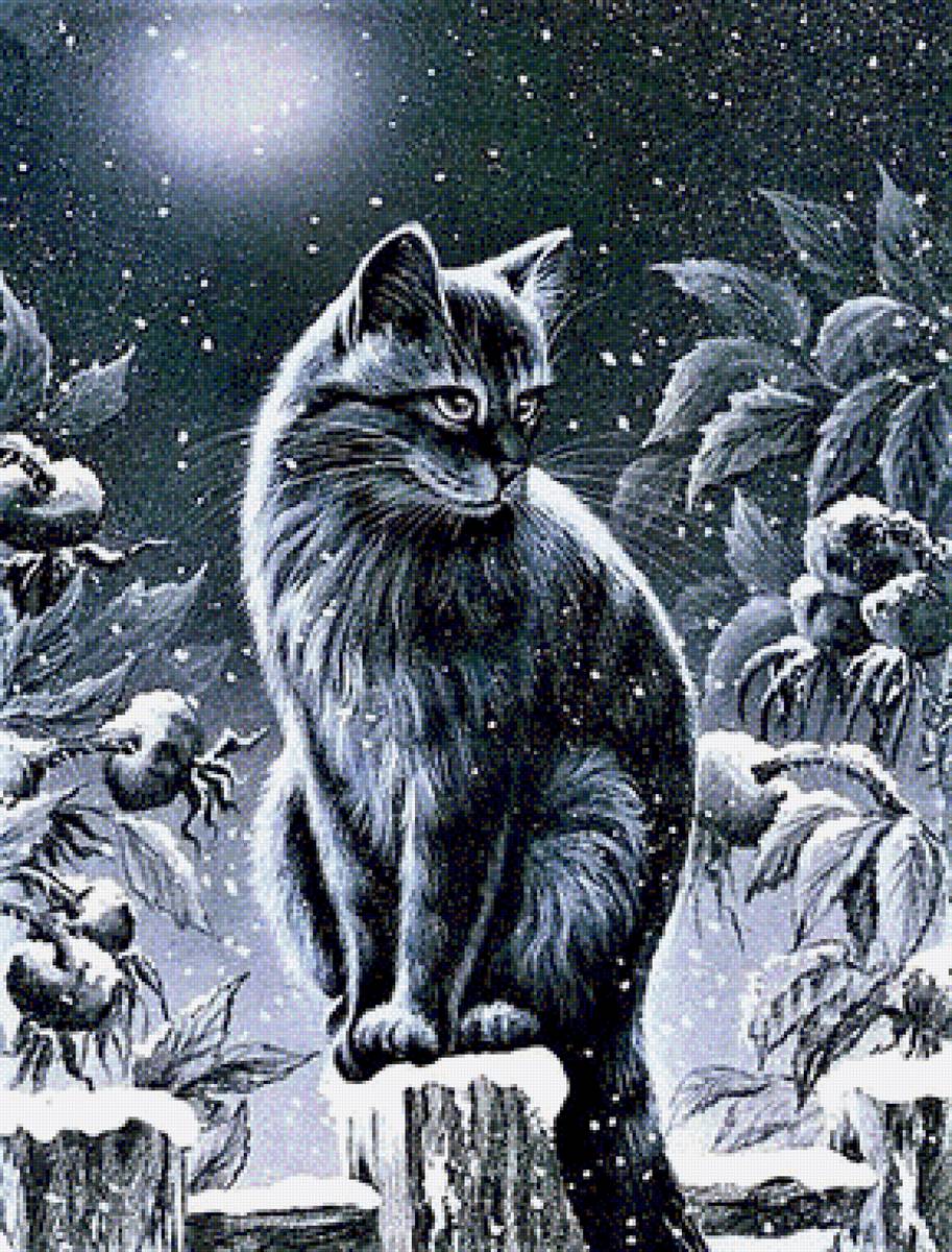 Black cat - предпросмотр