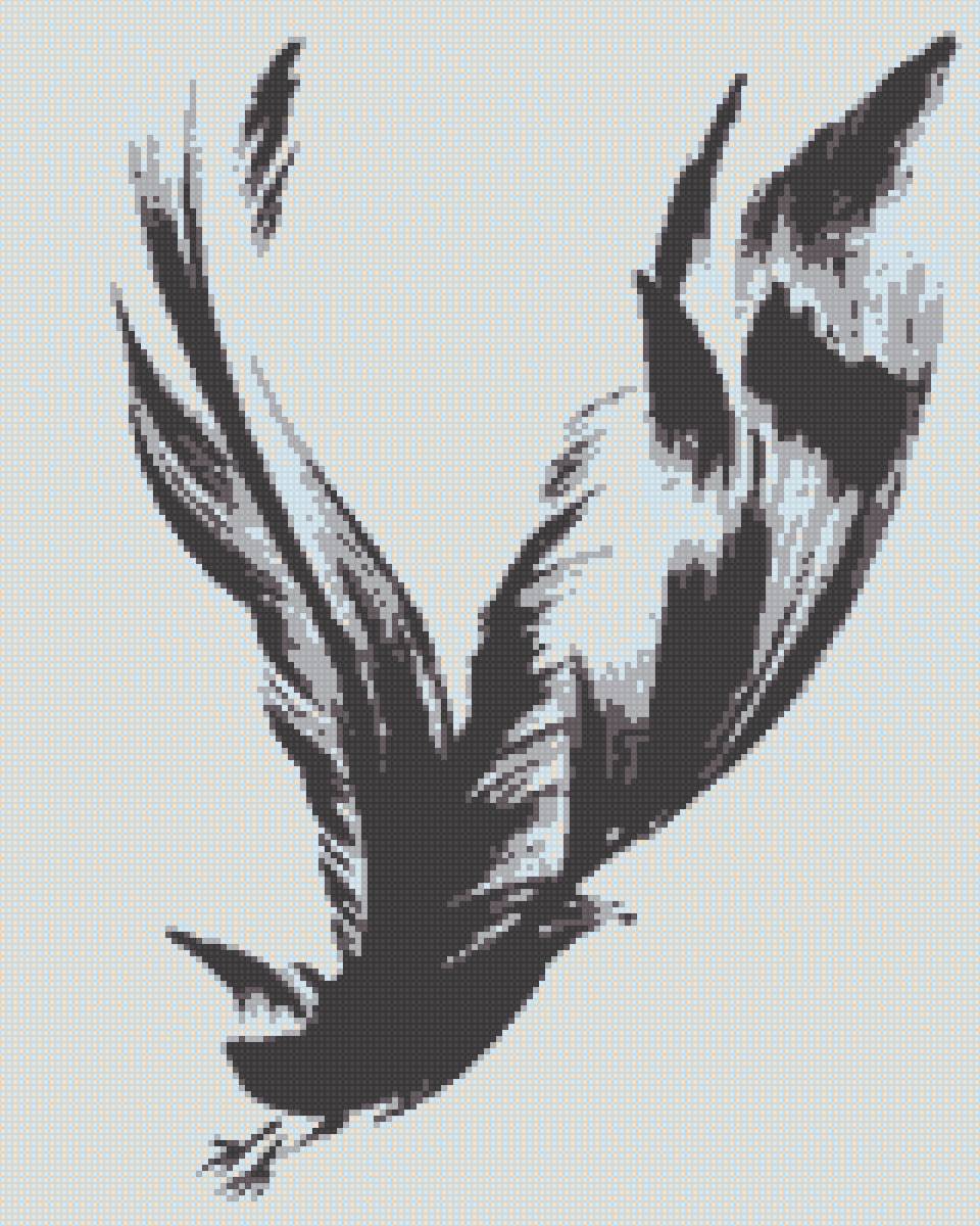 ворон - предпросмотр