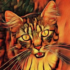 Схема вышивки «Котик»