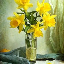 Схема вышивки «Натюрморт с нарциссами.»