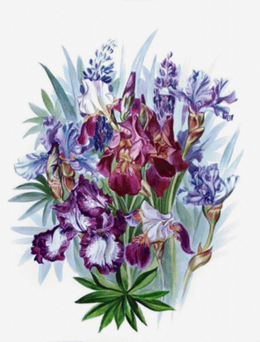 kytica - предпросмотр