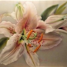 Схема вышивки «ЛИЛИИ»