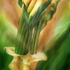 Схема вышивки «KАЛЛЫ»