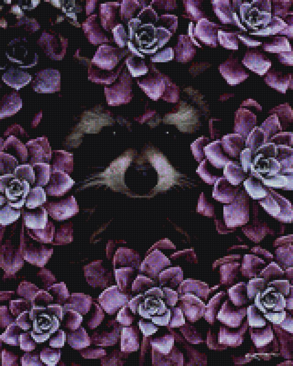 енот - предпросмотр