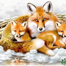 Схема вышивки «Серия "Лисы"»