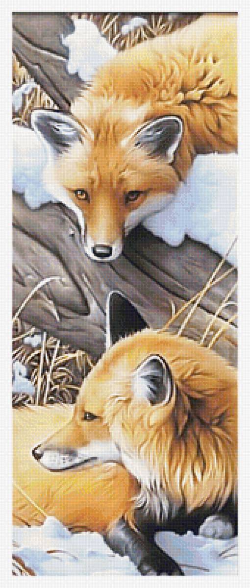 Серия "Лисы". Уменьшенный вариант - лиса, хищники, животные - предпросмотр