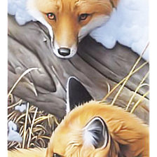 Схема вышивки «Серия "Лисы". Уменьшенный вариант»