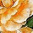 Предпросмотр схемы вышивки «букет» (№1754930)