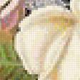 Предпросмотр схемы вышивки «букет» (№1754931)