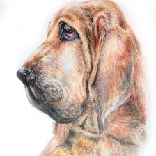 Схема вышивки «собака»