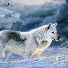 Схема вышивки «волк»