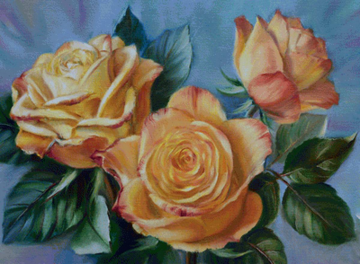 Розы - цветы - предпросмотр