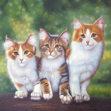 Схема вышивки «Котики»