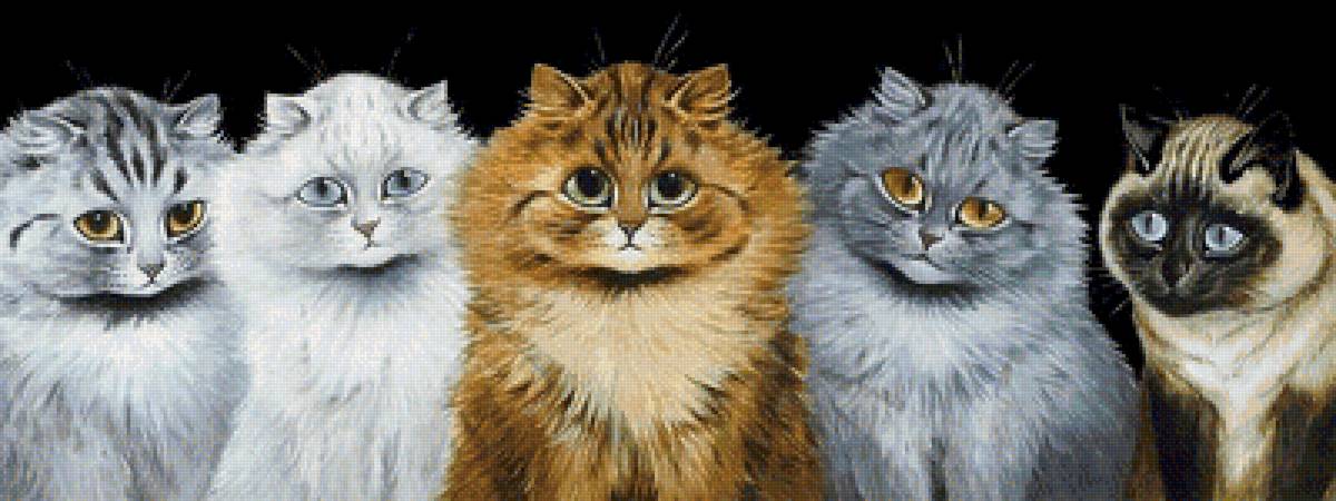 Котики - коты - предпросмотр