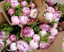 Букеты пионов