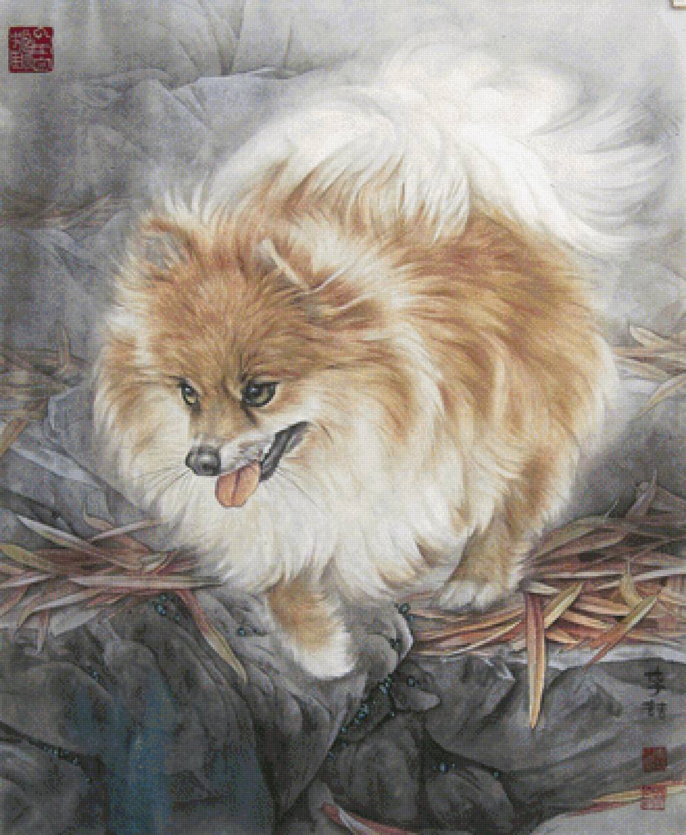 Пес - собака, китайское - предпросмотр