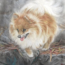 Схема вышивки «Пес»