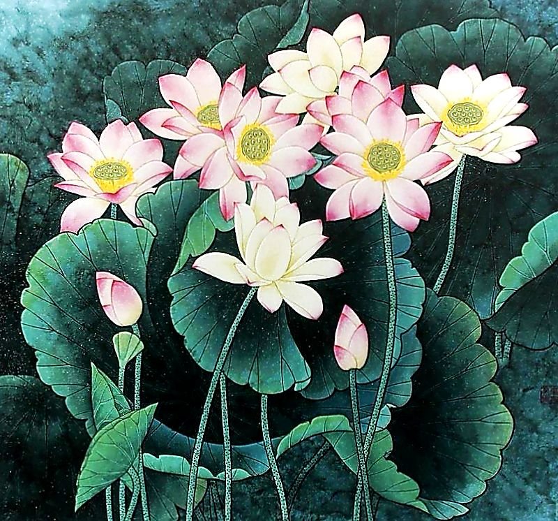 Лотосы. - лотосы, живопись. - оригинал